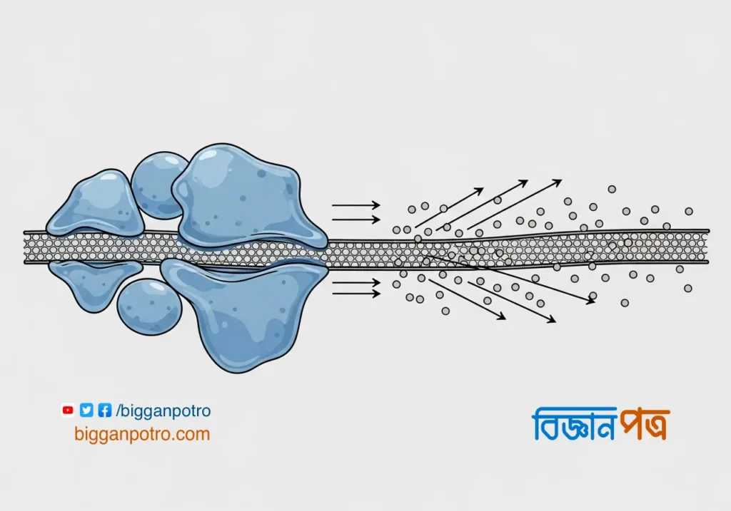 একটি মাইক্রোস্কোপিক ডায়াগ্রাম দেখাচ্ছে কীভাবে স্পিকারের জাল পানিকে বাধা দেয় কিন্তু বাতাসকে যেতে দেয়।